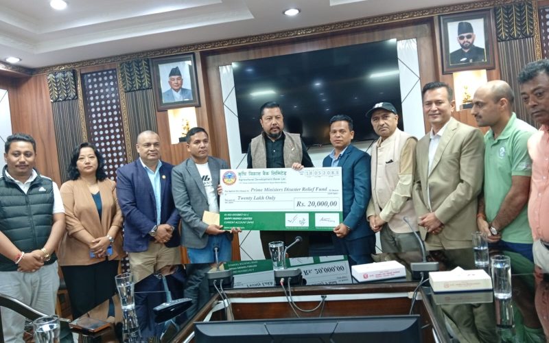 ह्याप्पी इनर्जीको २० लाख सहयोग, उर्जामन्त्री श्रेष्ठद्वारा आभार व्यक्त